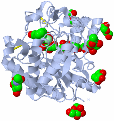 Image Biological Unit 1