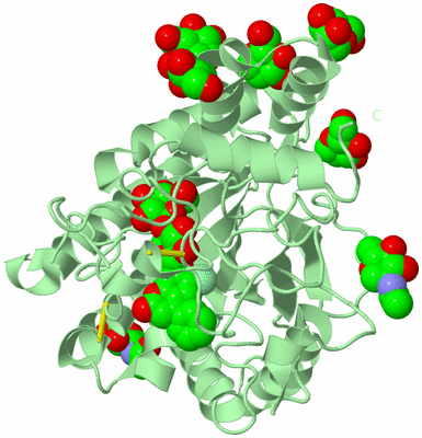 Image Biological Unit 2