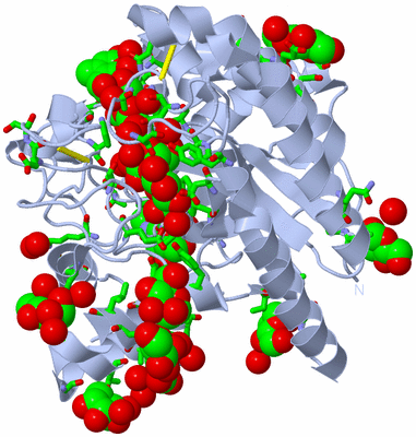 Image Biol. Unit 1 - sites