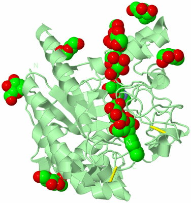 Image Biological Unit 2