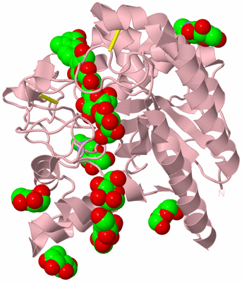 Image Biological Unit 3