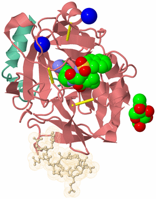 Image Asym./Biol. Unit