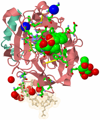 Image Asym./Biol. Unit - sites