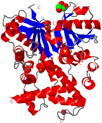 Image Asym./Biol. Unit