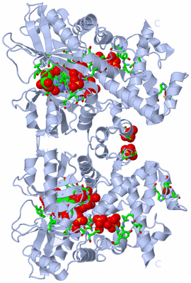 Image Biol. Unit 1 - sites