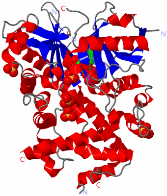 Image Asym./Biol. Unit