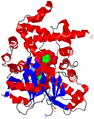 Image Asym./Biol. Unit