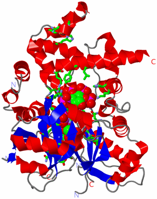 Image Asym./Biol. Unit - sites