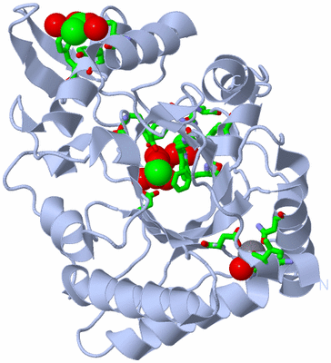 Image Biol. Unit 1 - sites