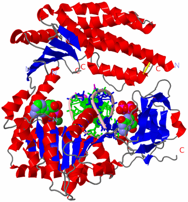 Image Asym./Biol. Unit