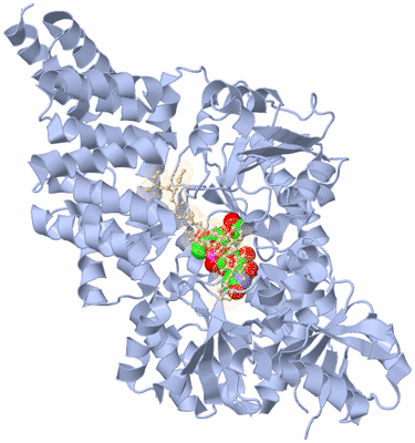 Image Biological Unit 1