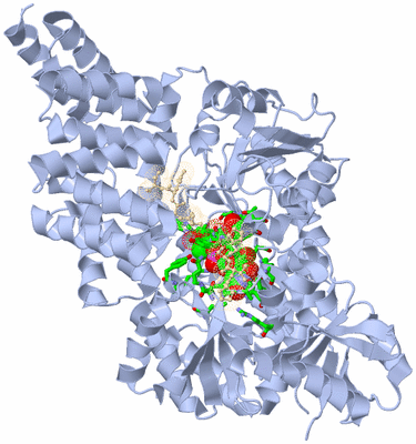 Image Biol. Unit 1 - sites