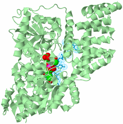 Image Biological Unit 2