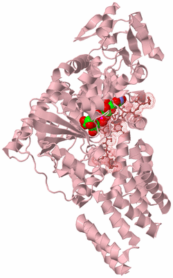 Image Biological Unit 3