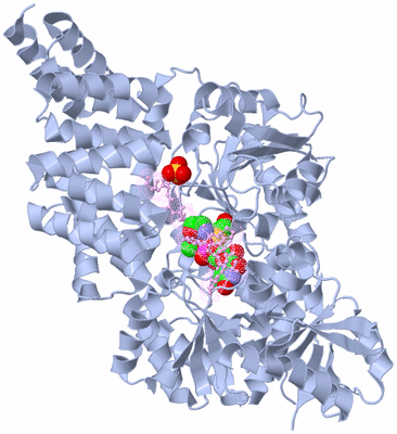 Image Biological Unit 1