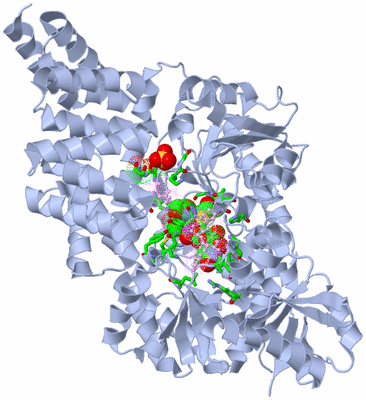 Image Biol. Unit 1 - sites