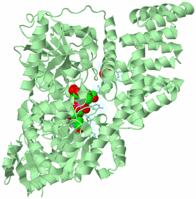 Image Biological Unit 2