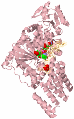 Image Biological Unit 3