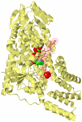 Image Biological Unit 4