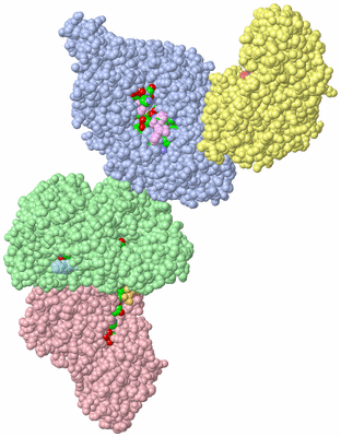 Image Asym. Unit - sites