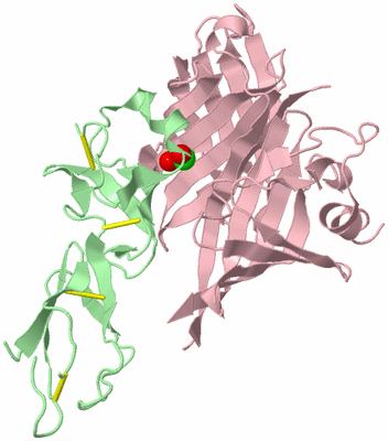 Image Biological Unit 2