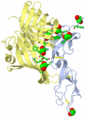 Image Biol. Unit 1 - sites