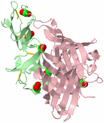 Image Biological Unit 2