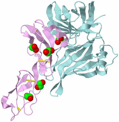 Image Biological Unit 3