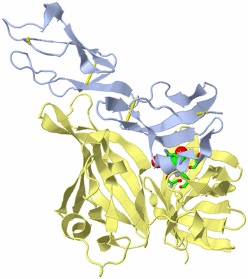 Image Biol. Unit 1 - sites