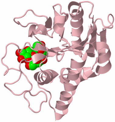 Image Biological Unit 3