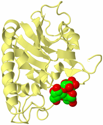 Image Biological Unit 4