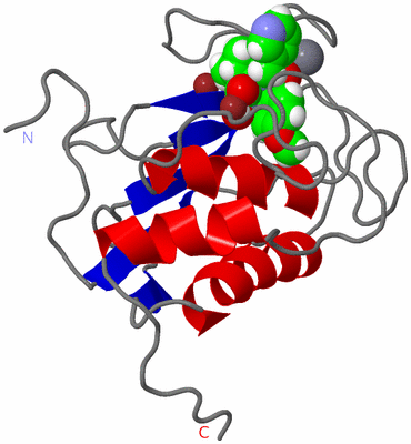 Image NMR Structure - model 1