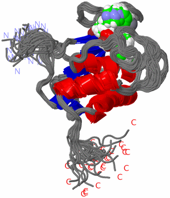 Image NMR Structure - all models