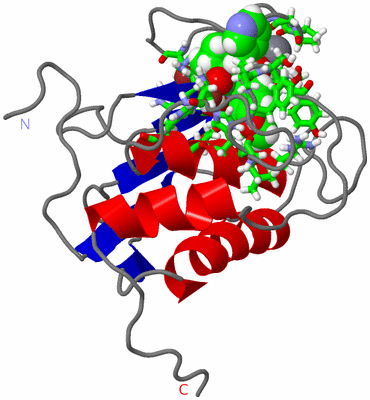 Image NMR Structure - model 1, sites