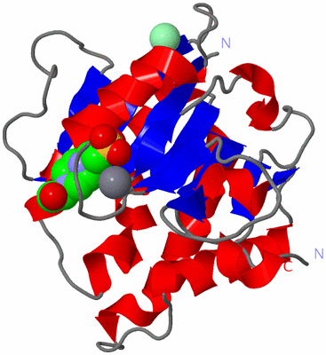 Image Asym./Biol. Unit