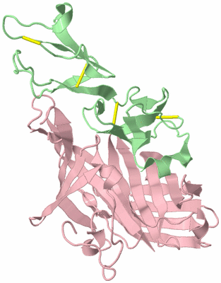 Image Biological Unit 1