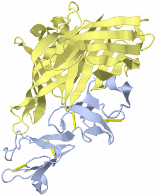 Image Biological Unit 2