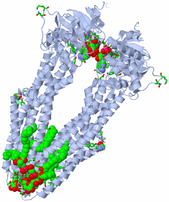 Image Biol. Unit 1 - sites