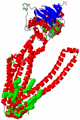 Image Asym. Unit - sites