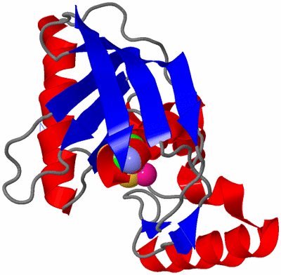 Image Asym./Biol. Unit