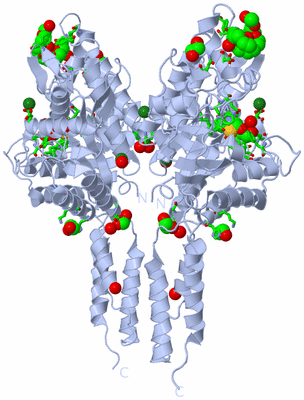 Image Biol. Unit 1 - sites