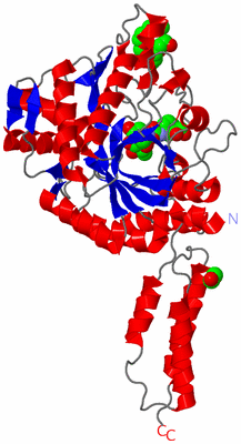 Image Asym./Biol. Unit