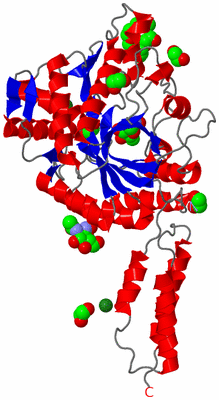 Image Asym./Biol. Unit