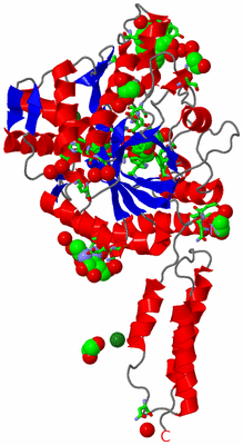 Image Asym./Biol. Unit - sites