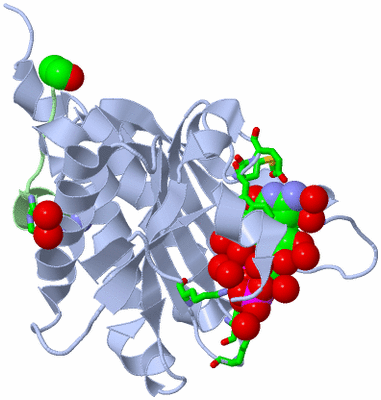 Image Biol. Unit 1 - sites