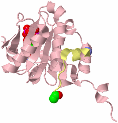 Image Biological Unit 2