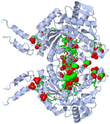 Image Biol. Unit 1 - sites