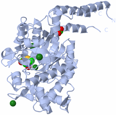 Image Biological Unit 1