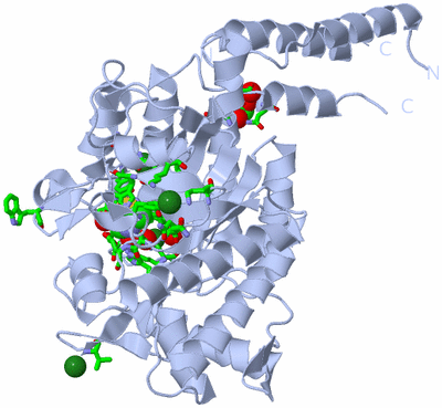 Image Biol. Unit 1 - sites