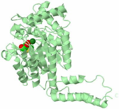 Image Biological Unit 2